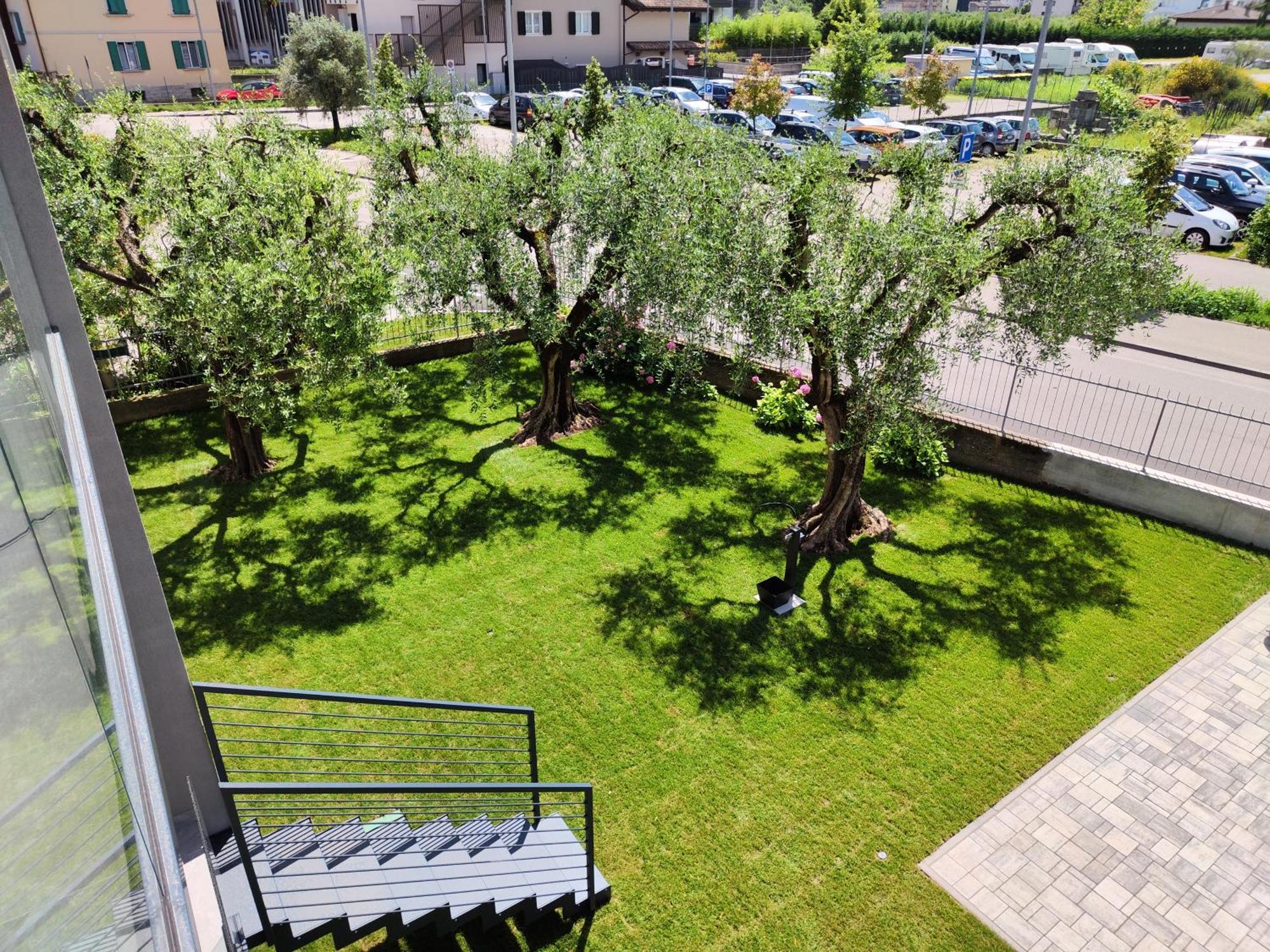 Oasi Degli Ulivi Lejlighed Riva del Garda Eksteriør billede