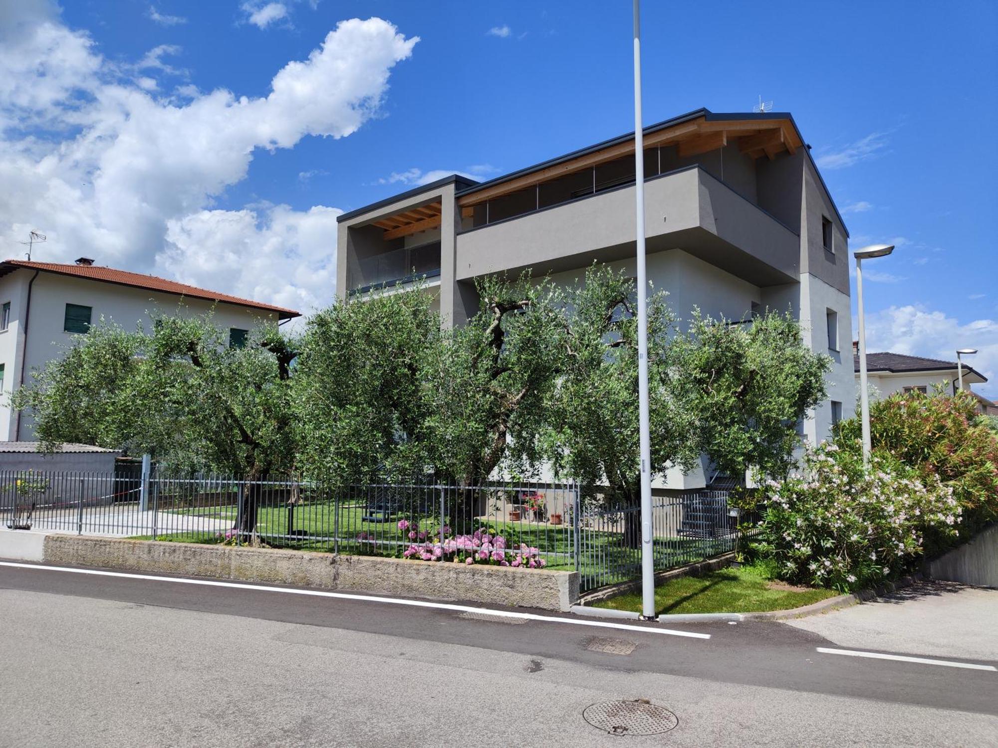 Oasi Degli Ulivi Lejlighed Riva del Garda Eksteriør billede